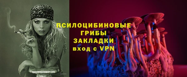 PSILOCYBIN Алексеевка