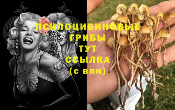 PSILOCYBIN Алексеевка