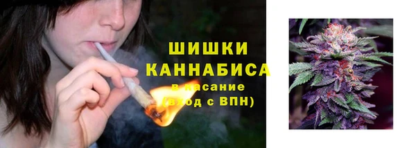PSILOCYBIN Алексеевка