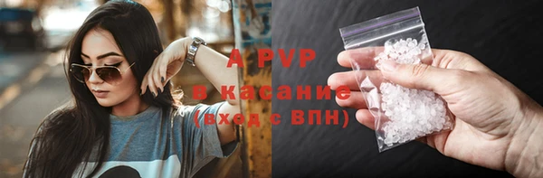 PSILOCYBIN Алексеевка