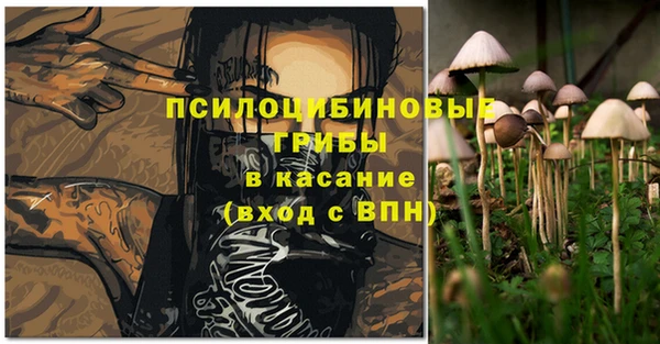 PSILOCYBIN Алексеевка
