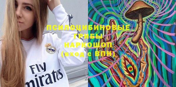 PSILOCYBIN Алексеевка