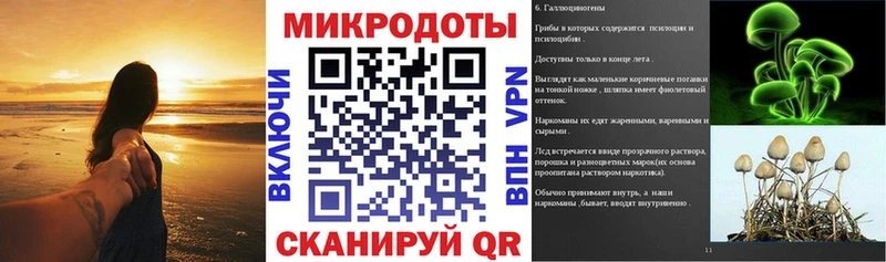 купить наркотик  Стародуб  Галлюциногенные грибы мицелий 
